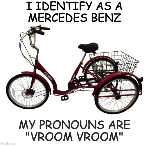 Adult Tricycle. | i identify as a
mercedes benz; my pronouns are
"vroom vroom" | image tagged in adult tricycle | made w/ Imgflip meme maker