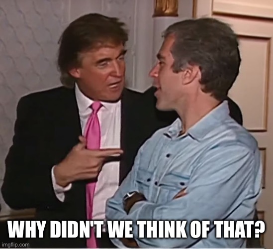 trump epstein party | Why didn't we think of that? | image tagged in trump epstein party | made w/ Imgflip meme maker