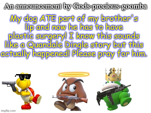 I hope my dog won't have to get put down D: | My dog ATE part of my brother's lip and now he has to have plastic surgery! I know this sounds like a Quandale Dingle story but this actually happened! Please pray for him. | image tagged in gods-precious-goomba's announcement template,memes,sad but true | made w/ Imgflip meme maker