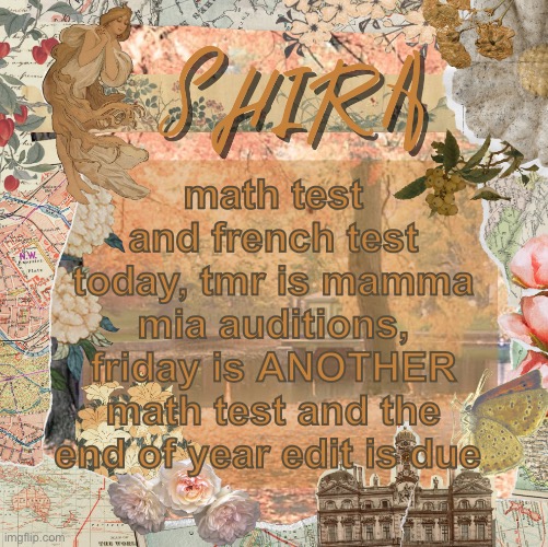 and during lunch i had to write an essay because i completely procrastinated it | math test and french test today, tmr is mamma mia auditions, friday is ANOTHER math test and the end of year edit is due | image tagged in shira s sweet temp | made w/ Imgflip meme maker