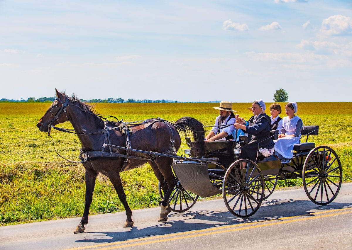 software-amish Blank Meme Template