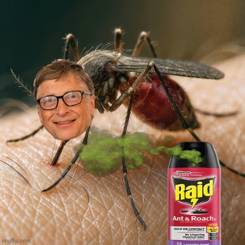 Bill Gates memes | image tagged in mosquito-drawing-blood-human-close-up-view-captures-mosquito-fee | made w/ Imgflip meme maker