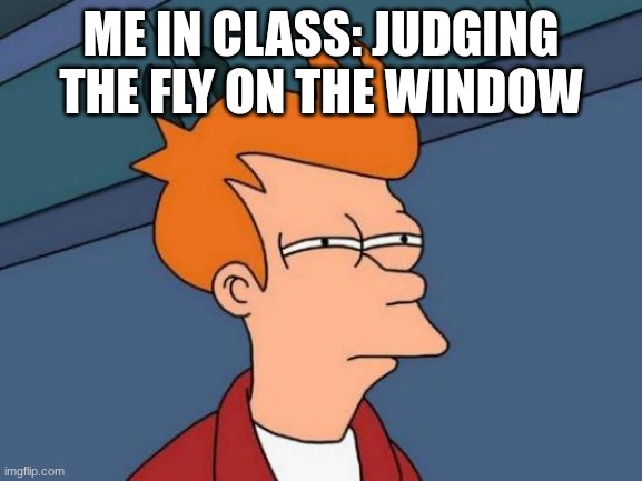 Futurama Fry Meme | Me in class: judging the fly on the window | image tagged in memes,futurama fry,remix | made w/ Imgflip meme maker