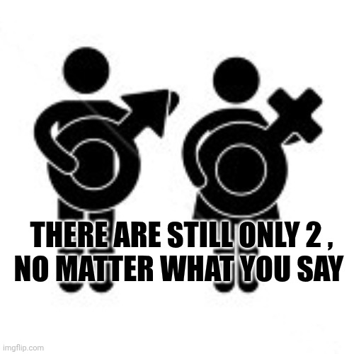 There Is Only Two | There are still only 2 ,
no matter what you say | image tagged in there is only two | made w/ Imgflip meme maker