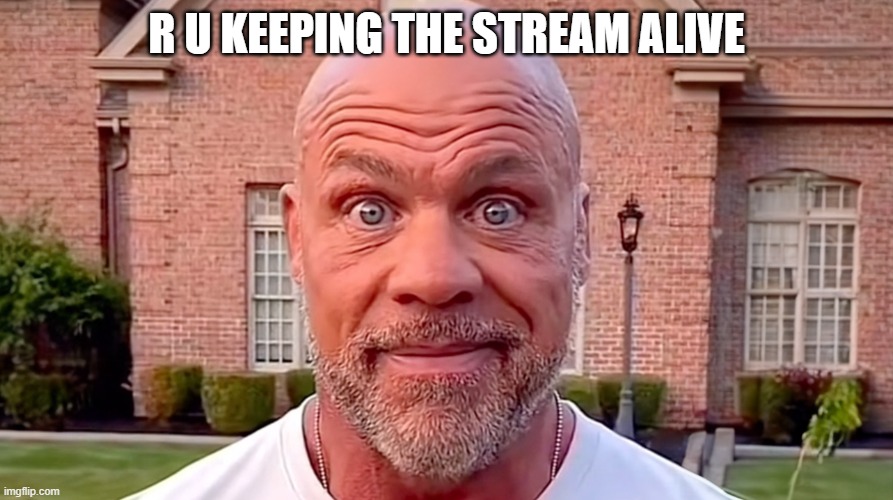 KEEP IT ALIVE | r u keeping the stream alive | image tagged in kurt angle stare | made w/ Imgflip meme maker