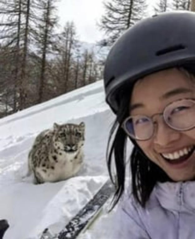 Tourist gets that once in a lifetime photo Blank Meme Template