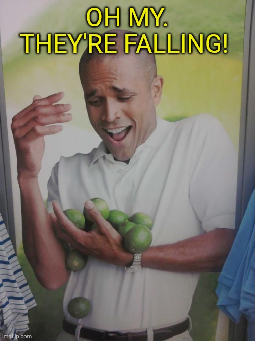 Why Can't I Hold All These Limes | Oh my. They're falling! | image tagged in memes,why can't i hold all these limes | made w/ Imgflip meme maker