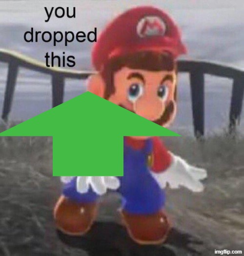Mario You dropped this | image tagged in mario you dropped this | made w/ Imgflip meme maker