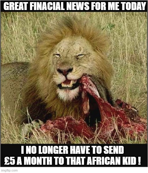That Lion Will Not Go Hungry Today ! | great finacial news for me today; I no longer have to send £5 a month to that African kid ! | image tagged in lion,charity,donation,africa,unecessary | made w/ Imgflip meme maker
