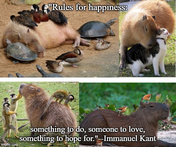 Rules for Happiness | "Rules for happiness:; something to do, someone to love, something to hope for."--Immanuel Kant | image tagged in animals | made w/ Imgflip meme maker