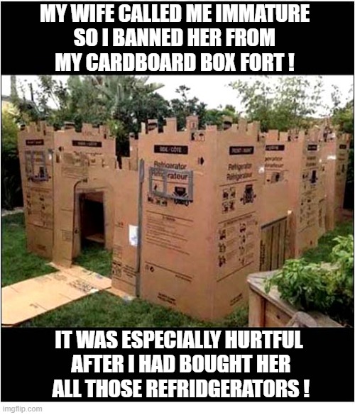 It's No Fun Being Grown Up ! | My wife called me immature
 so I banned her from 
my cardboard box fort ! it was especially hurtful
 after I had bought her
 all those refridgerators ! | image tagged in grown up,immature,wife,refridgerator,boxes,fort | made w/ Imgflip meme maker
