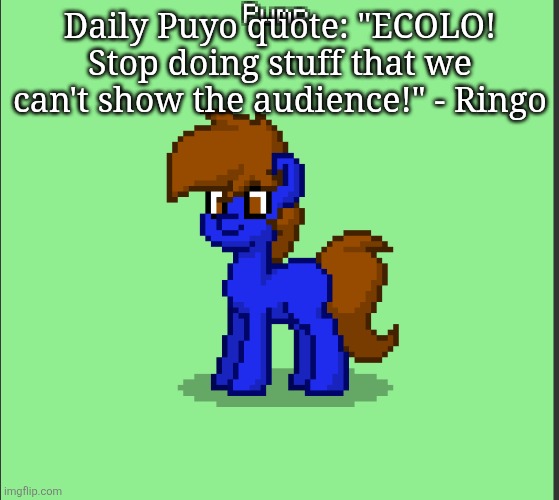 Pony Pump except in Pony Town | Daily Puyo quote: "ECOLO! Stop doing stuff that we can't show the audience!" - Ringo | image tagged in pony pump except in pony town | made w/ Imgflip meme maker