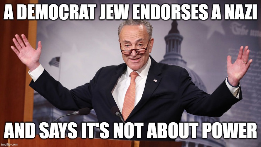 once a dick, always a dick | a democrat jew endorses a nazi; and says it's not about power | image tagged in chuck schumer | made w/ Imgflip meme maker