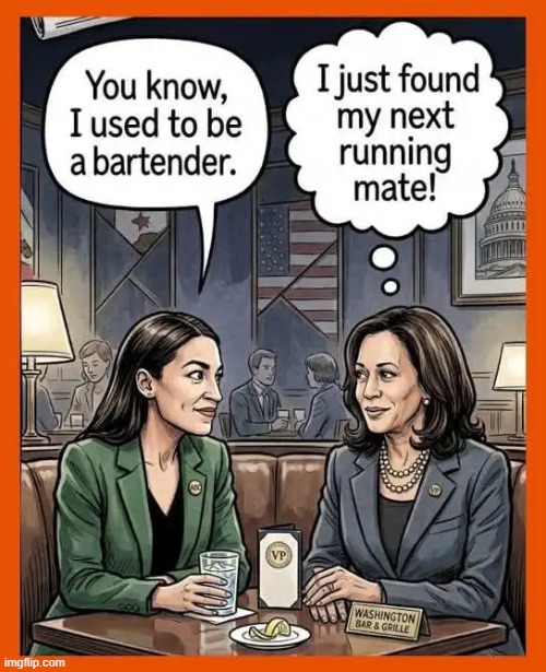 It's a Match! | image tagged in aoc,kamala harris,dumb and dumber,dumb people,bartender,drunk | made w/ Imgflip meme maker