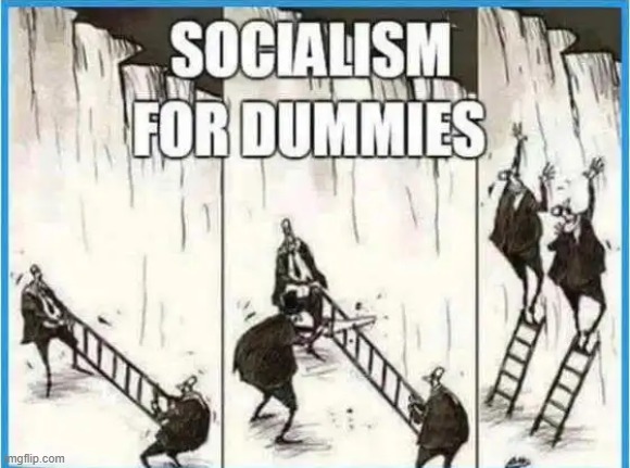 No brainer | image tagged in socialism,democratic socialism,communist socialist,for dummies,there's no brain here | made w/ Imgflip meme maker