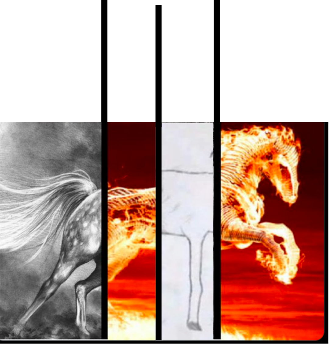 Fire horse 4 section meme Blank Meme Template