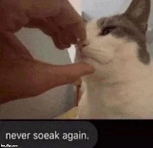 image tagged in never soeak again | made w/ Imgflip meme maker