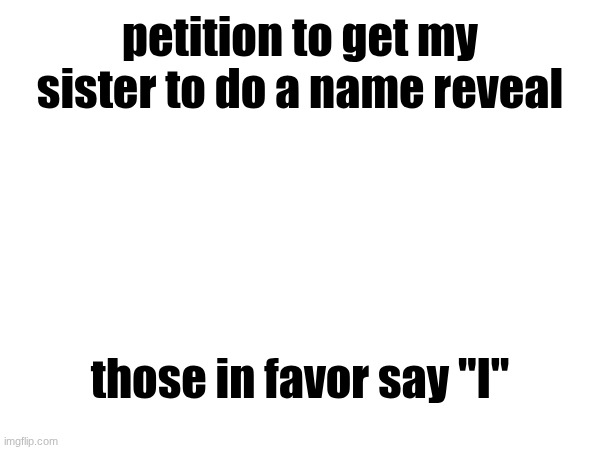 petition to get my sister to do a name reveal; those in favor say "I" | made w/ Imgflip meme maker