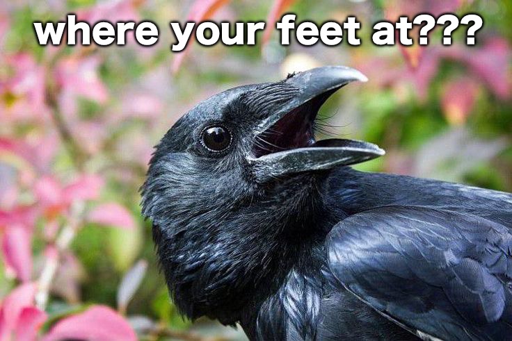 where your feet at??? | made w/ Imgflip meme maker