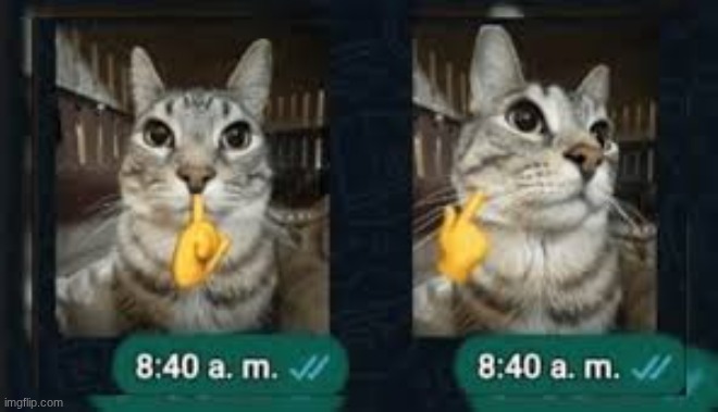 Zazu Mogging.jpeg | image tagged in zazu mogging jpeg | made w/ Imgflip meme maker