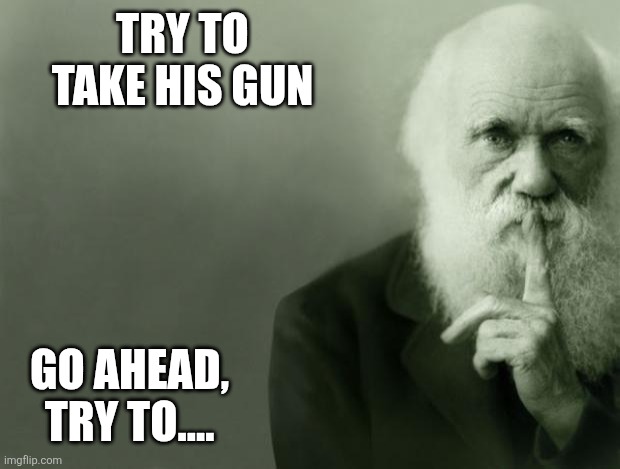 Try to take his gun | Try to take his gun; Go ahead, try to.... | image tagged in darwin,gun,take it,take his gun,win my award | made w/ Imgflip meme maker