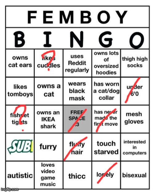 not that feminine, not a boy, so makes sense | image tagged in femboy bingo | made w/ Imgflip meme maker