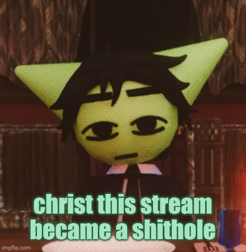 i mean with the drop of the new website im honestly not suprised | christ this stream became a shithole | image tagged in vrochacho what | made w/ Imgflip meme maker