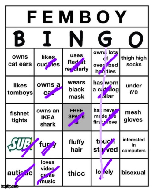 I mean, before I knew I was trans I was a femboy, so checks out | image tagged in femboy bingo | made w/ Imgflip meme maker