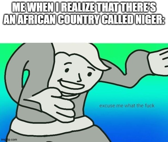 Yes guys, that's something | Me when I realize that there's an african country called Niger: | image tagged in excuse me what the fuck,fallout,wtf,reactions | made w/ Imgflip meme maker