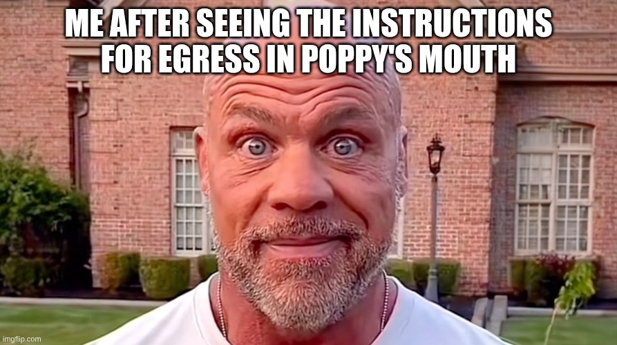 Kurt Angle Stare | me after seeing the instructions for egress in poppy's mouth | image tagged in kurt angle stare | made w/ Imgflip meme maker