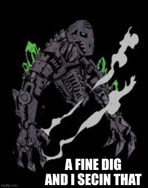 onua | a fine dig and I secin that | image tagged in bionicle | made w/ Imgflip meme maker