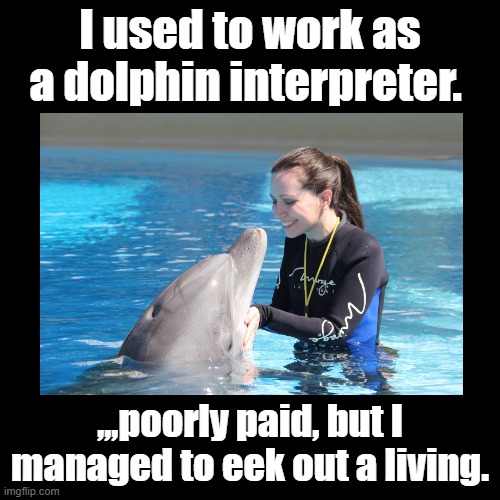 Eek Out a Living | I used to work as a dolphin interpreter. ,,,poorly paid, but I managed to eek out a living. | image tagged in black square,pun,dumb joke dolphin | made w/ Imgflip meme maker
