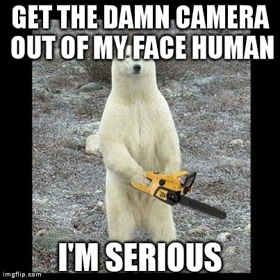 Chainsaw Bear Meme | GET THE DAMN CAMERA OUT OF MY FACE HUMAN I'M SERIOUS | image tagged in memes,chainsaw bear | made w/ Imgflip meme maker