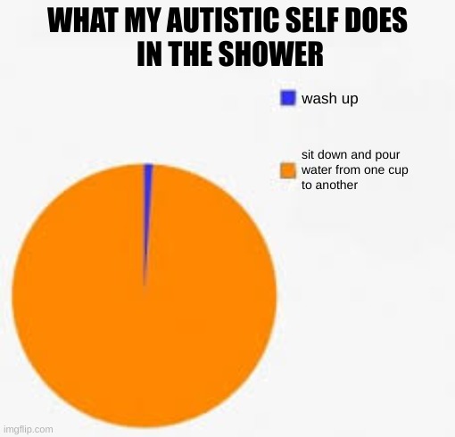 shower time | what my autistic self does
 in the shower; wash up; sit down and pour 
water from one cup
to another | image tagged in pie chart meme,relatable | made w/ Imgflip meme maker