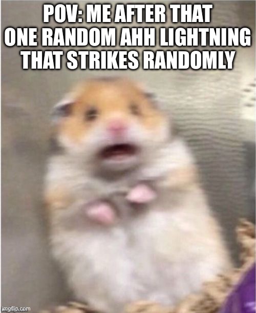 I get jumpscared all the time | POV: me after that one random ahh lightning that strikes randomly | image tagged in scared hamster | made w/ Imgflip meme maker