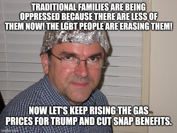 Traditional families are being oppressed because there are less of them now! The LGBT people are erasing them! Now let's keep rising the gas | image tagged in tin foil hat | made w/ Imgflip meme maker