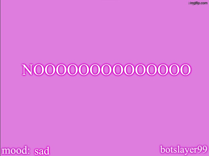 botslayer announcement temp v2 | NOOOOOOOOOOOOOO; sad | image tagged in botslayer announcement temp v2 | made w/ Imgflip meme maker