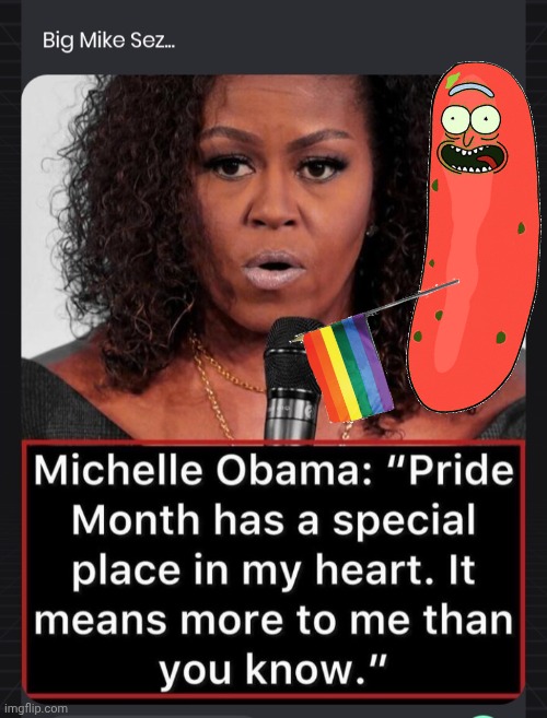 Big Mike on meaning of PRIDE | image tagged in screenshot_20260603_032707_chrome jpg,michelle obama,pickle | made w/ Imgflip meme maker