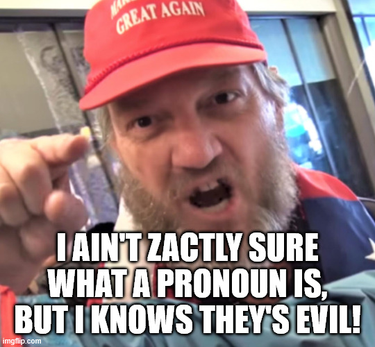 i ain't zactly sure what a pronoun is, but I knows they's evil! | image tagged in angry trump supporter | made w/ Imgflip meme maker