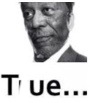 True... | image tagged in true | made w/ Imgflip meme maker
