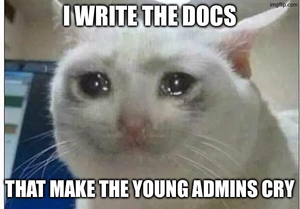 crying cat | I write the docs; That make the young admins cry | image tagged in crying cat | made w/ Imgflip meme maker