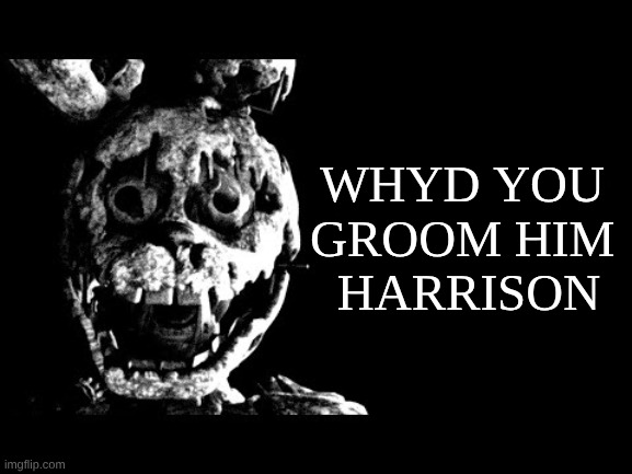 He ate them | WHYD YOU 
GROOM HIM 
HARRISON | image tagged in he ate them | made w/ Imgflip meme maker