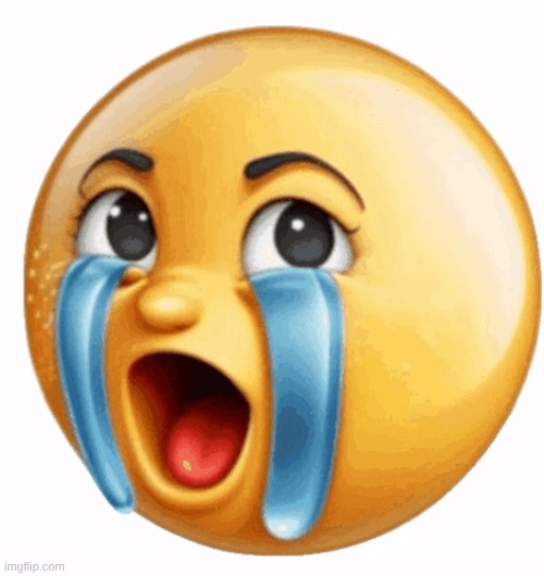 image tagged in realistic sob crying emoji | made w/ Imgflip meme maker