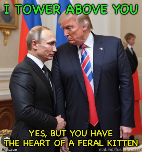 I tower above you; Yes, but you have the heart of a feral kitten | image tagged in img_9254 jpeg | made w/ Imgflip meme maker