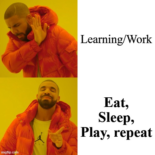 Eat, Sleep, Play, repeat | Learning/Work; Eat, Sleep, Play, repeat | image tagged in memes,drake hotline bling | made w/ Imgflip meme maker