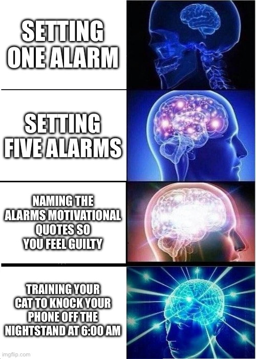 Expanding Brain Meme | Setting one alarm; Setting five alarms; Naming the alarms motivational quotes so you feel guilty; Training your cat to knock your phone off the nightstand at 6:00 AM | image tagged in memes,expanding brain | made w/ Imgflip meme maker
