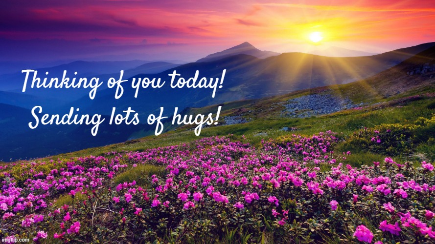Friends | Sending lots of hugs! Thinking of you today! | image tagged in mountain flowers | made w/ Imgflip meme maker