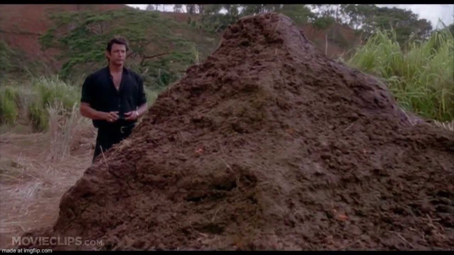 That is one big pile of shit | image tagged in that is one big pile of shit | made w/ Imgflip meme maker
