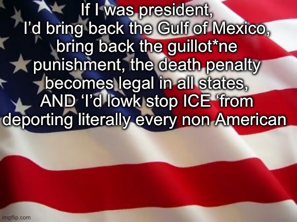 American flag | If I was president, I’d bring back the Gulf of Mexico, bring back the guillot*ne punishment, the death penalty becomes legal in all states, AND ‘I’d lowk stop ICE ‘from deporting literally every non American | image tagged in memes,msmg | made w/ Imgflip meme maker