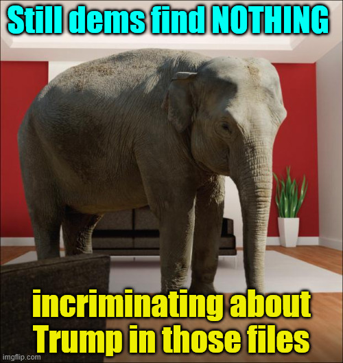 Still waiting for their proof | Still dems find NOTHING; incriminating about Trump in those files | image tagged in elephant in the room,dems epstein collusion to get trump,huge nothing | made w/ Imgflip meme maker